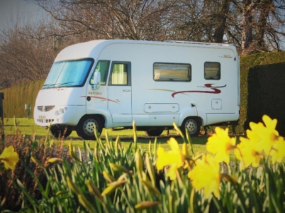 Motorhome with daffodils on an electric hook-up pitch in early spring at Tyn Cornel Campsite and Caravan Park