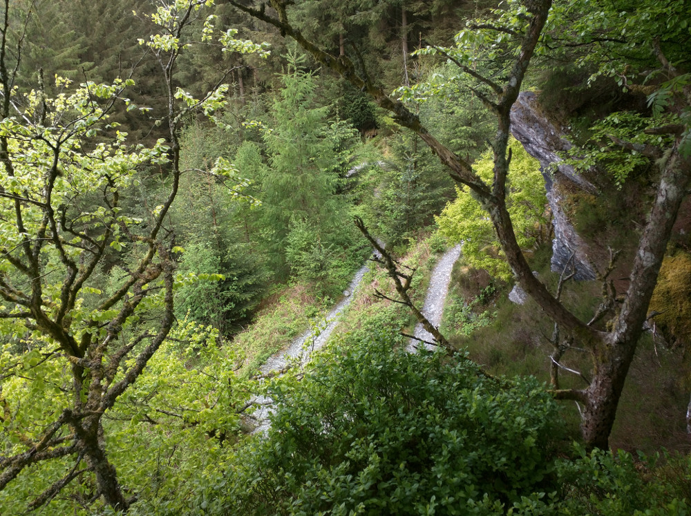 Penmachno mountain bike trail, atmospheric, forest switchbacks, Snowdonia