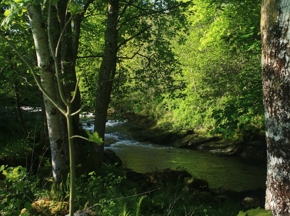 Image of River Tryweryn at low water, more of a paddle than a wild swim!